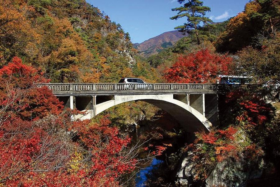 賞楓趣吧～日本各地賞楓最佳時間公開!!