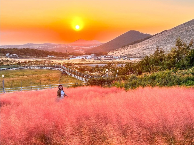 日本｜四國、富士山、公路車